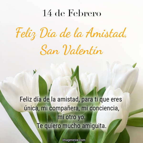 Gracias amiga, feliz día de San Valentín con bonitos tulipanes blancos