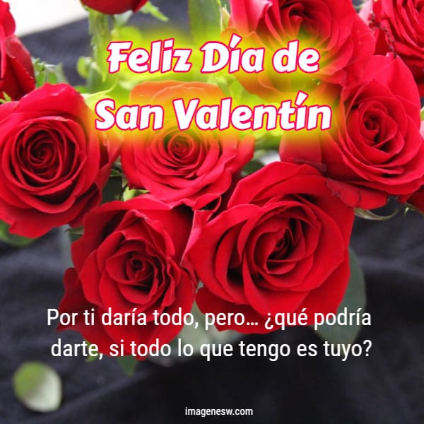 Rosas rojas lindas con citas de amor por el día de San Valentín