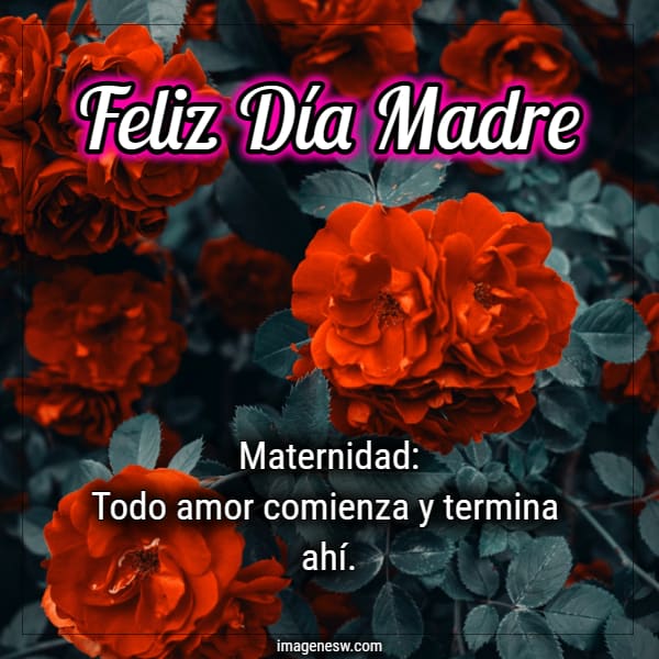 Feliz día madre hermosa, rosas rojas bonitas y frases maternidad.