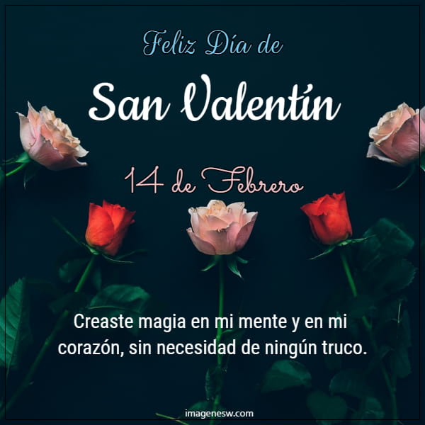 14 de Febrero bonito con frases e imágenes de San Valentín