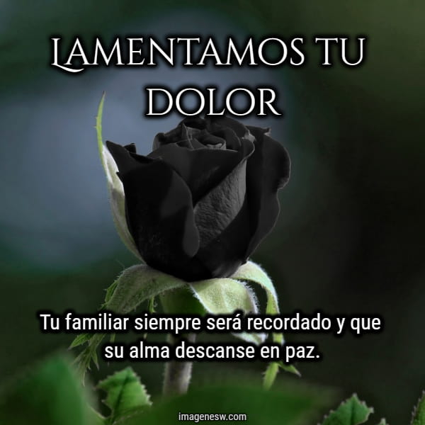 Rosa negra y condolencias luto