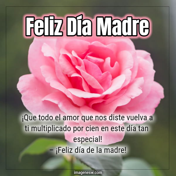 Lindísima rosa rosada con mensajes día de la madre.