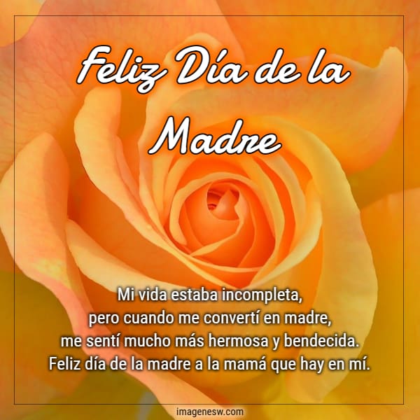 Linda rosa amarilla, feliz día a las Madres con frases y saludos.