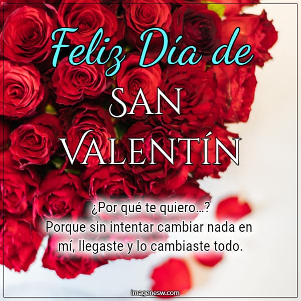 Rosas rojas bonitas con mensajes de San Valentín e imágenes