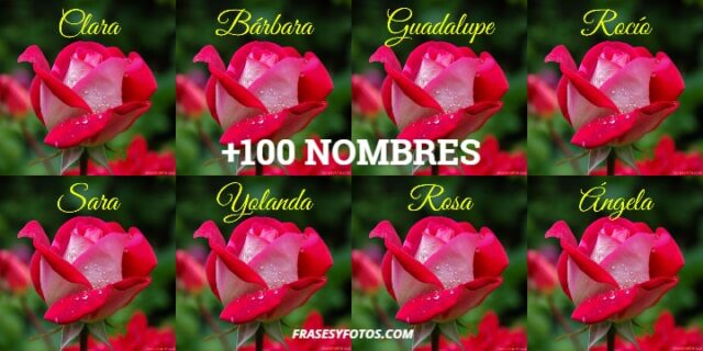 78+ Imágenes (Nombres de Mujeres con ROSA roja) para tu perfil