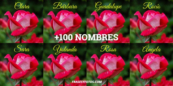 100 imagenes Nombres de Mujeres con ROSA roja para tu perfil
