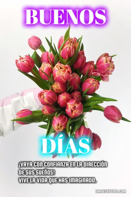 14 Hermosos Tulipanes frases de Buenos Dias flores y paisajes coloridos 14