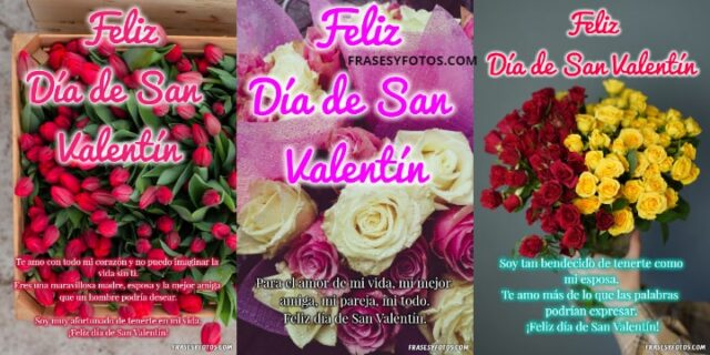 Lindísimas 51+ imágenes de San Valentín, flores variadas y amor