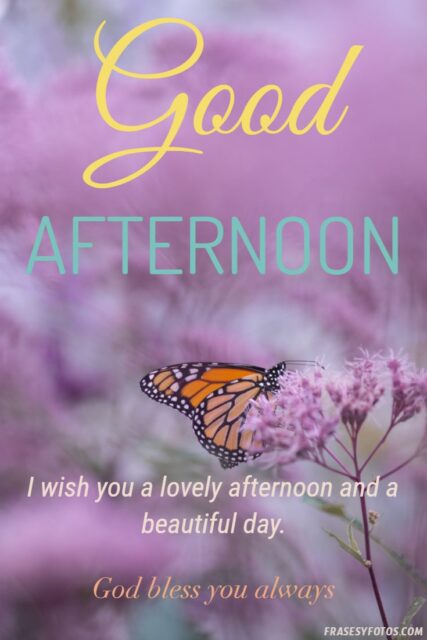 20 Good afternoon quotes images phrases God bless you always 1