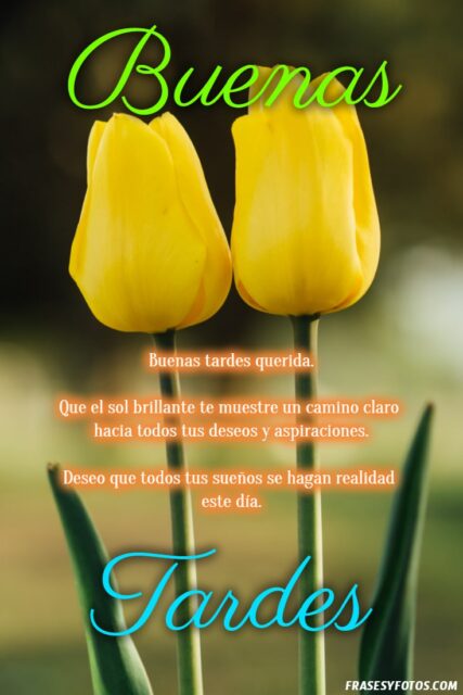 22 Buenas Tardes Tulipanes imagenes con mensajes positivos Naturaleza 1