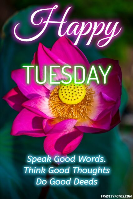 22 Happy Tuesday phrases positive images 12