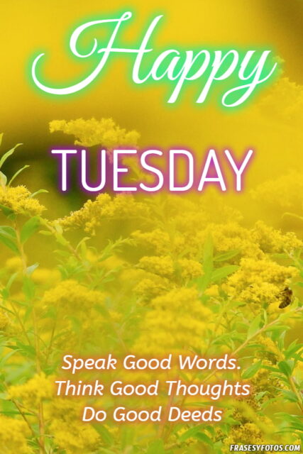 22 Happy Tuesday phrases positive images 14