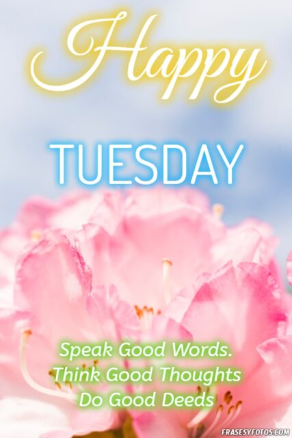 22 Happy Tuesday phrases positive images 16