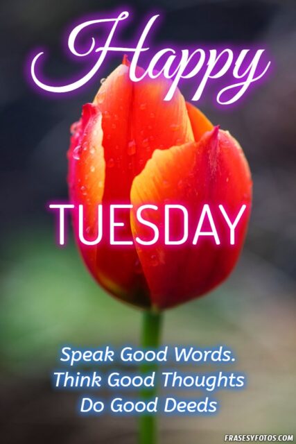 22 Happy Tuesday phrases positive images 17