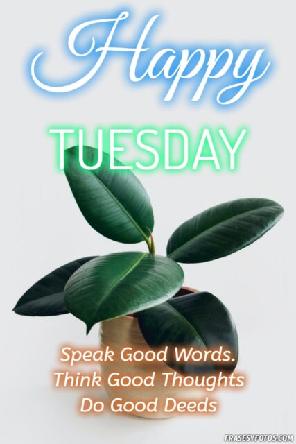 22 Happy Tuesday phrases positive images 18