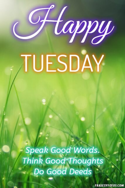 22 Happy Tuesday phrases positive images 21
