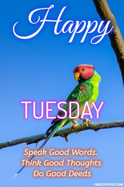 22 Happy Tuesday phrases positive images 6