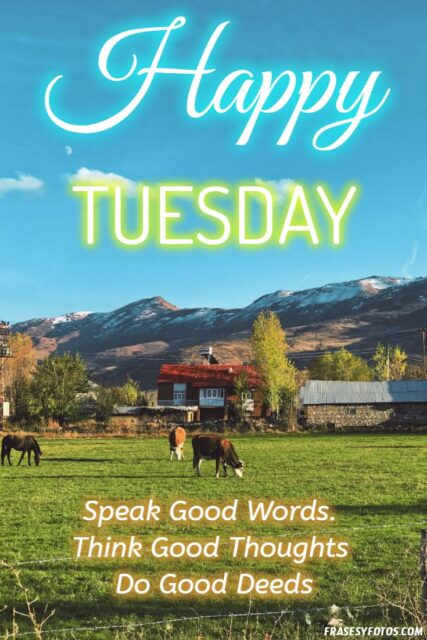 22 Happy Tuesday phrases positive images 7