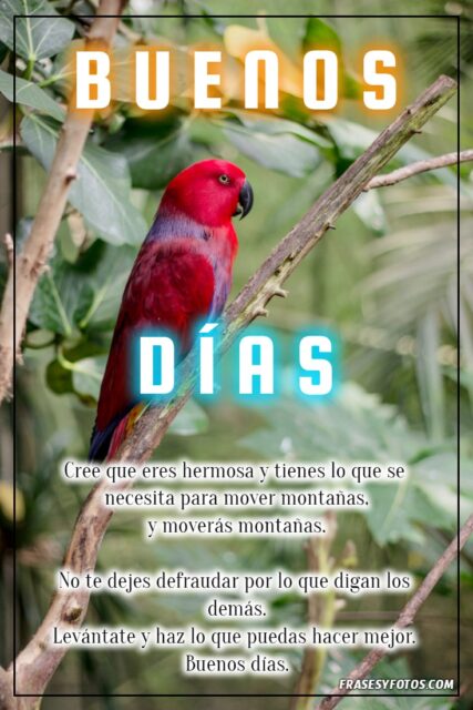 22 Mensajes bonitos de Buenos Dias Frases positivas y motivacion cafe y paisajes 12