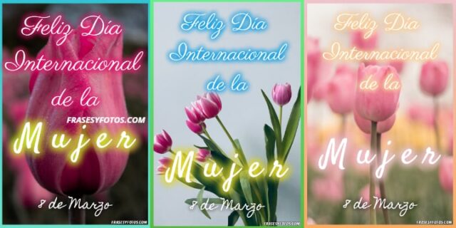 Tulipanes, Rosas, Girasoles, Día de la Mujer 78+ imágenes bonitas