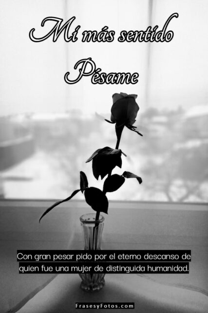 24 Mi mas sentido Pesame imagenes Rosas negras condolencias y mensajes 11