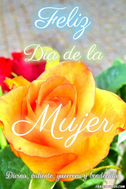 25 Feliz dia de la Mujer imagenes bonitas con Rosas coloridas 3