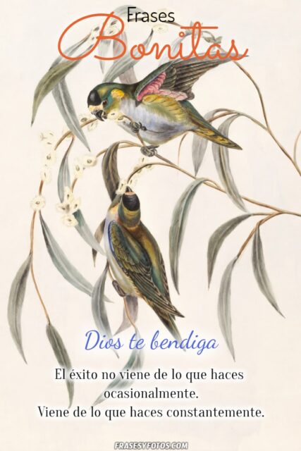25 imagenes bonitas Pintura de aves y flores Frases emotivas de Superacion 16
