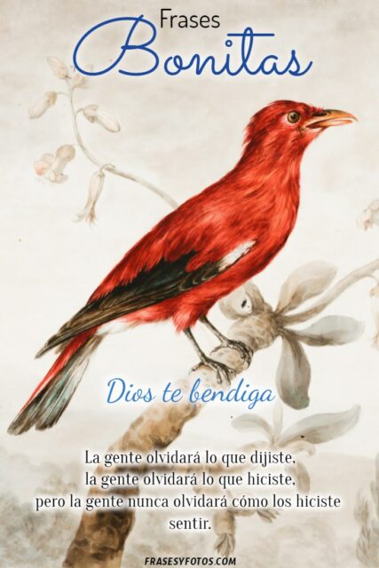 25 imagenes bonitas Pintura de aves y flores Frases emotivas de Superacion 19