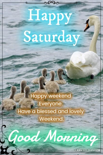 27 Happy Saturday Good morning pretty images and phrases 18