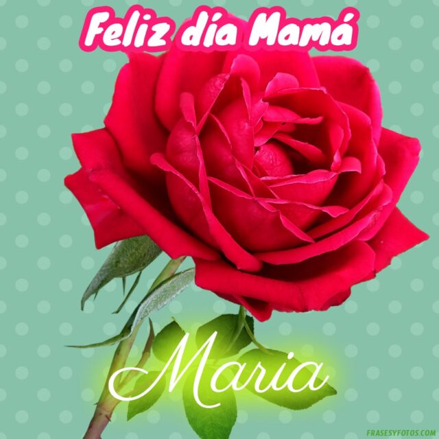 50 Feliz dia Mama con Nombres Rosa roja bonita para dedicar a tu Madre 1