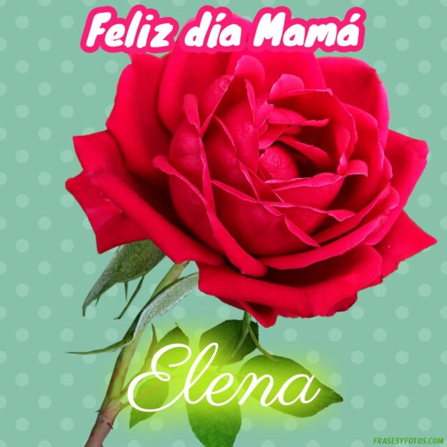 50 Feliz dia Mama con Nombres Rosa roja bonita para dedicar a tu Madre 10