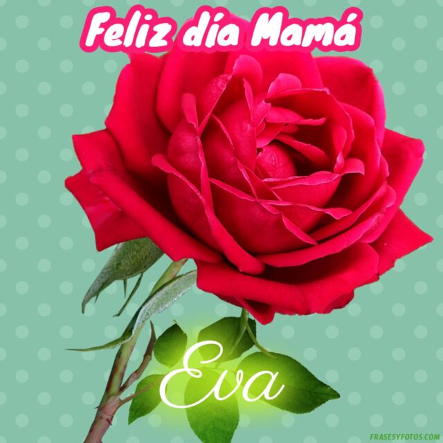 50 Feliz dia Mama con Nombres Rosa roja bonita para dedicar a tu Madre 12