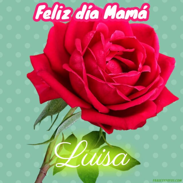 50 Feliz dia Mama con Nombres Rosa roja bonita para dedicar a tu Madre 18