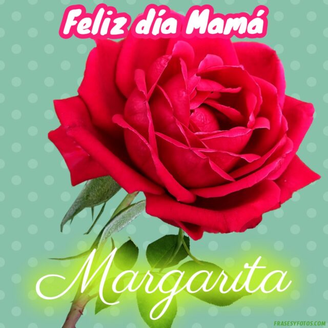 50 Feliz dia Mama con Nombres Rosa roja bonita para dedicar a tu Madre 19