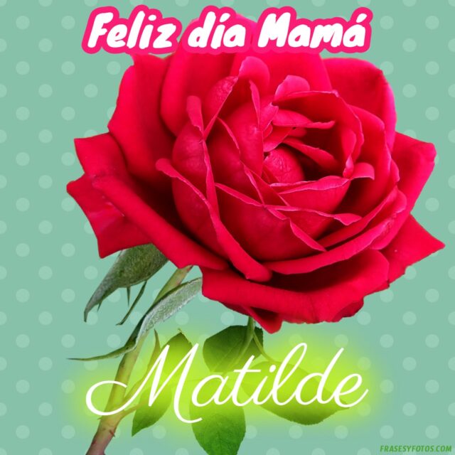 50 Feliz dia Mama con Nombres Rosa roja bonita para dedicar a tu Madre 20