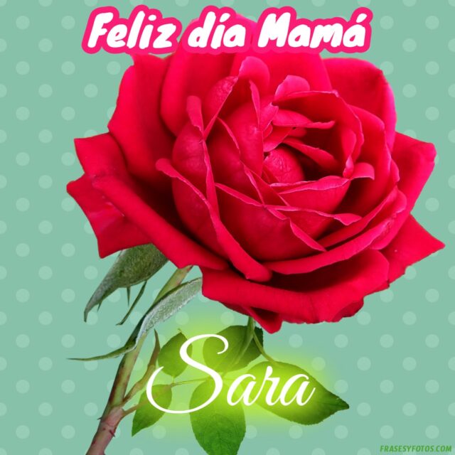 50 Feliz dia Mama con Nombres Rosa roja bonita para dedicar a tu Madre 22