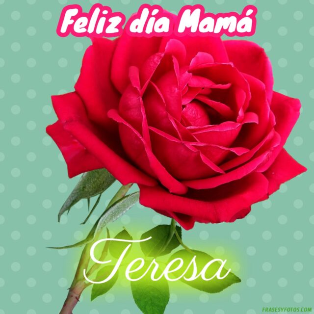 50 Feliz dia Mama con Nombres Rosa roja bonita para dedicar a tu Madre 23