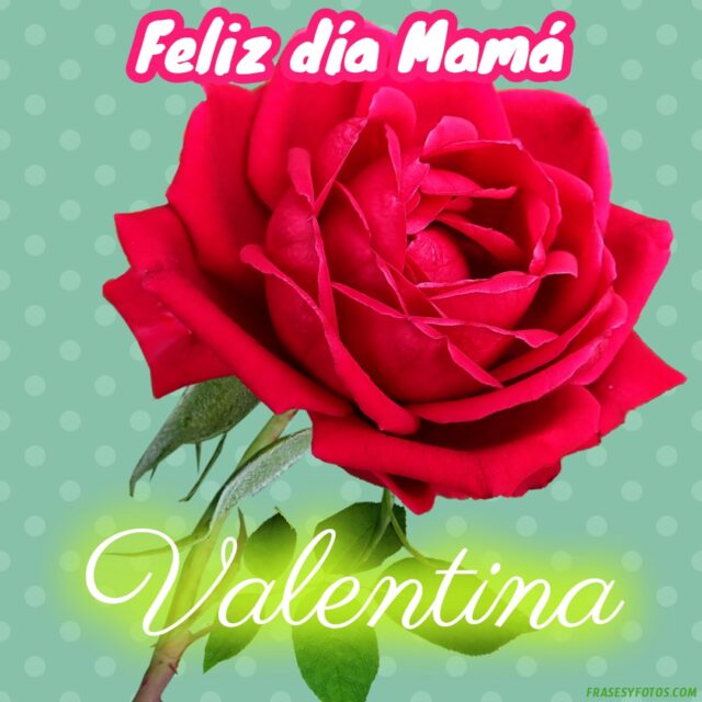 50 Feliz dia Mama con Nombres Rosa roja bonita para dedicar a tu Madre 24