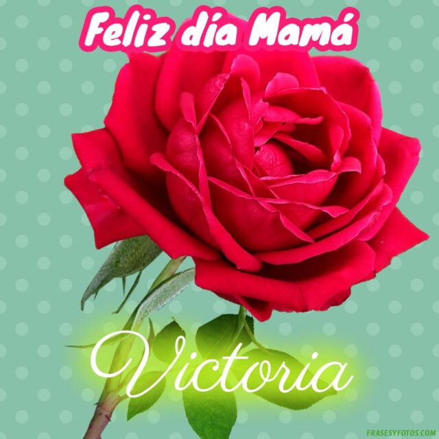 50 Feliz dia Mama con Nombres Rosa roja bonita para dedicar a tu Madre 25