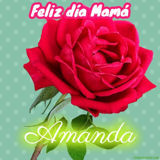 50 Feliz dia Mama con Nombres Rosa roja bonita para dedicar a tu Madre 26