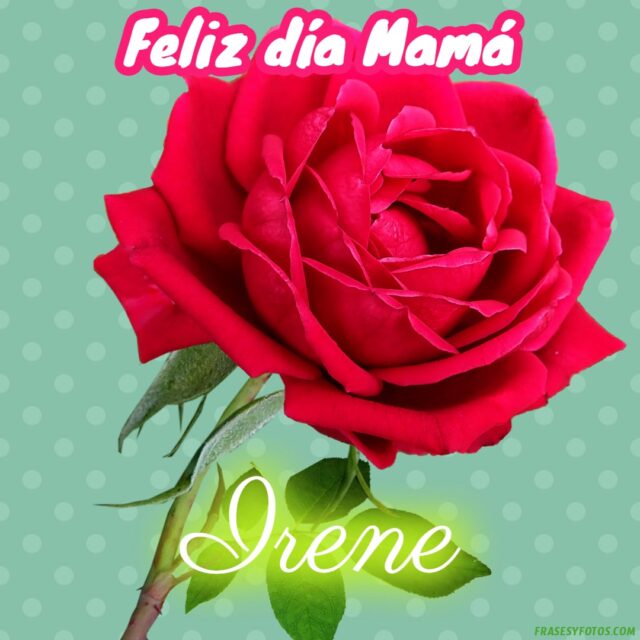 50 Feliz dia Mama con Nombres Rosa roja bonita para dedicar a tu Madre 29