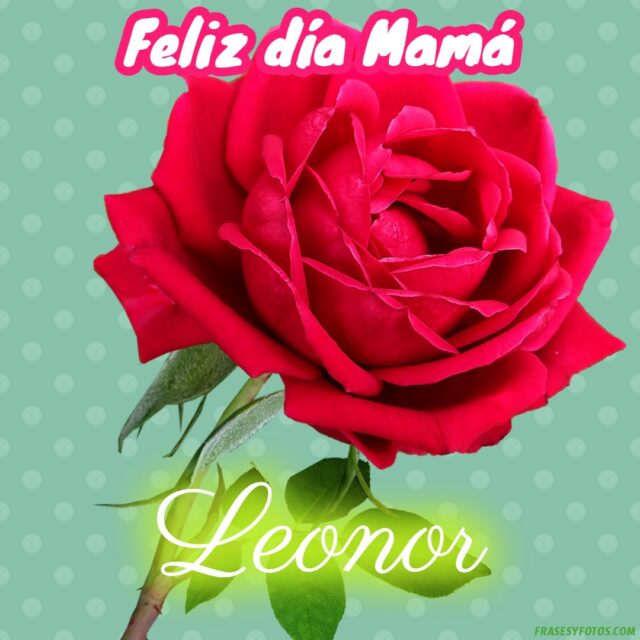 50 Feliz dia Mama con Nombres Rosa roja bonita para dedicar a tu Madre 32