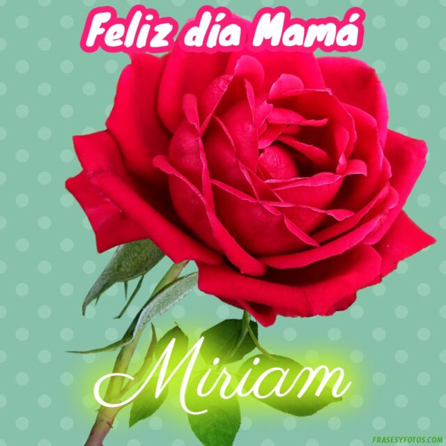 50 Feliz dia Mama con Nombres Rosa roja bonita para dedicar a tu Madre 35