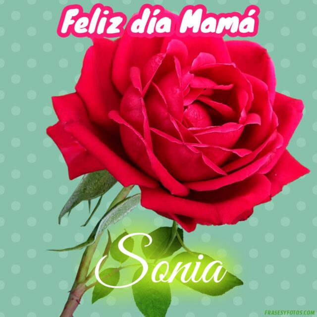 50 Feliz dia Mama con Nombres Rosa roja bonita para dedicar a tu Madre 38