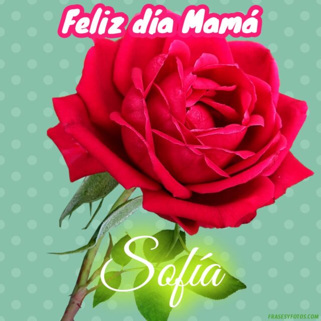50 Feliz dia Mama con Nombres Rosa roja bonita para dedicar a tu Madre 39