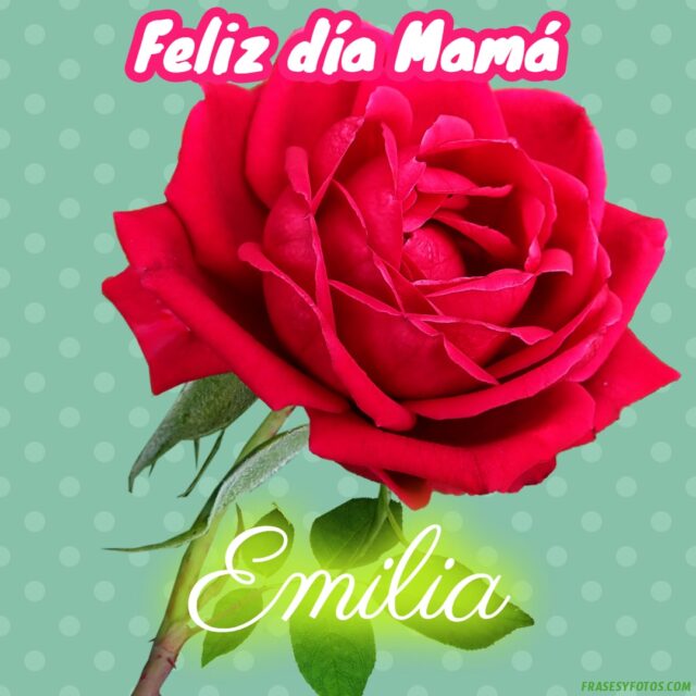50 Feliz dia Mama con Nombres Rosa roja bonita para dedicar a tu Madre 40