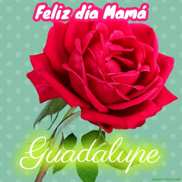 50 Feliz dia Mama con Nombres Rosa roja bonita para dedicar a tu Madre 41