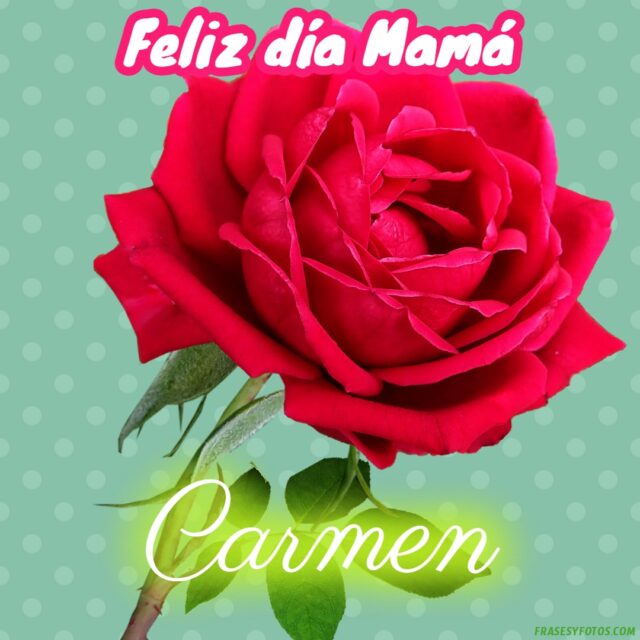 50 Feliz dia Mama con Nombres Rosa roja bonita para dedicar a tu Madre 45