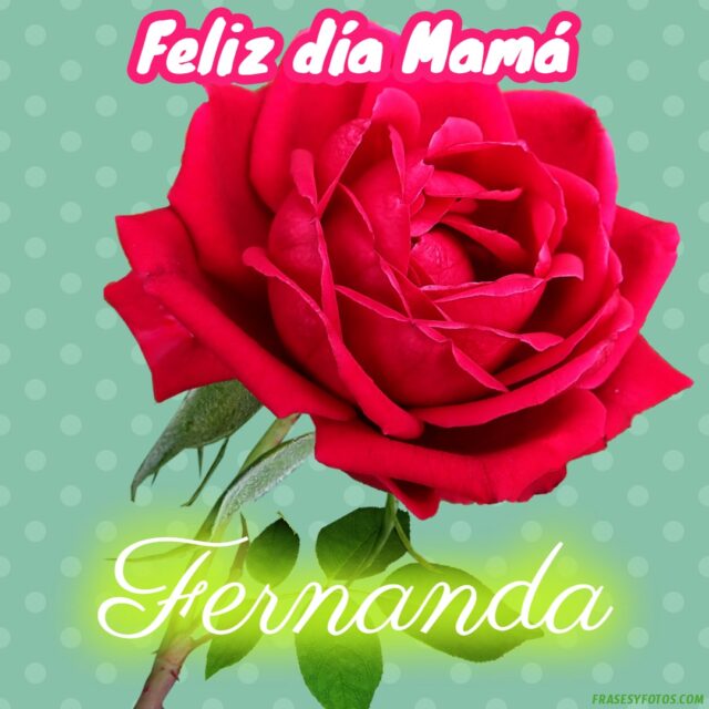 50 Feliz dia Mama con Nombres Rosa roja bonita para dedicar a tu Madre 50