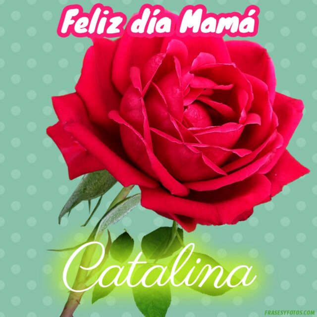 50 Feliz dia Mama con Nombres Rosa roja bonita para dedicar a tu Madre 7